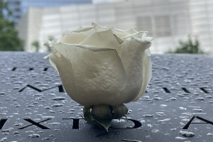WHITE ROSE