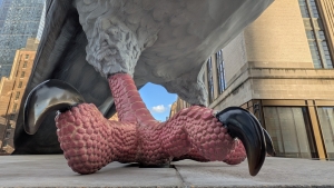Giant pink pigeon foot